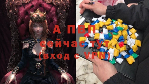 гашик Киренск